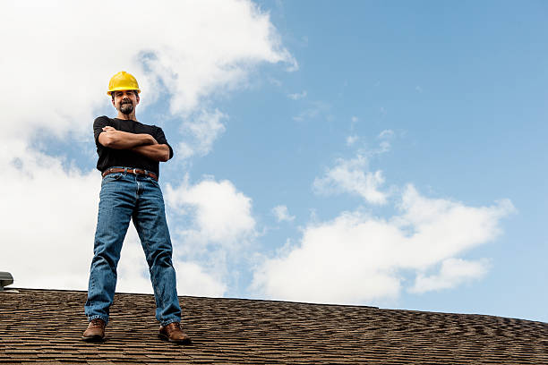 Best Roof Gutter Cleaning  in Hayti, MO